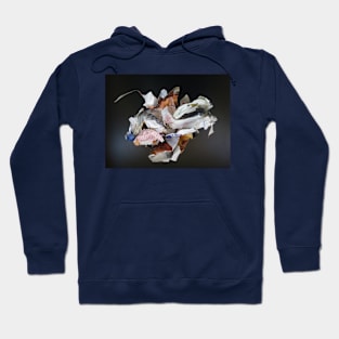 cosmodromic art - 20 Hoodie